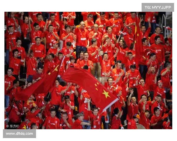 足球杯赛事观影(播放足球杯的足球是谁呀)